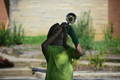 album/07292026/DSC_0021.JPG