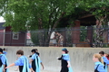 album/08072026/DSC_0176.JPG