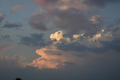 album/08072026/DSC_0292.JPG